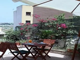 Cafisu