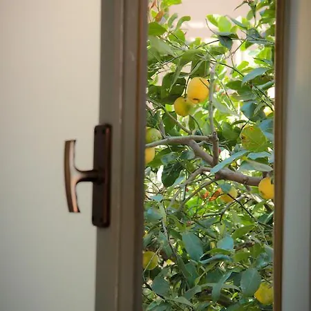 Cafisu Bed & Breakfast 3*