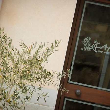 Bed & Breakfast Cafisu Paceco