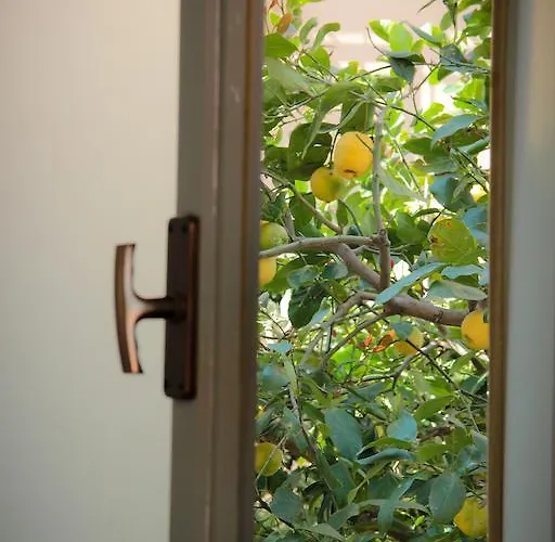 Cafisu 住宿加早餐酒店 3*